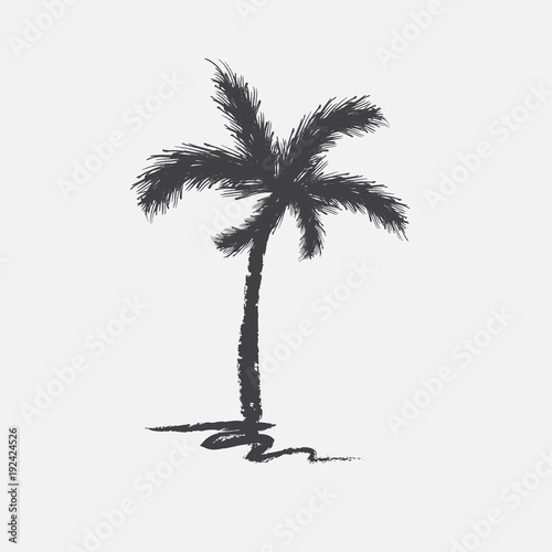 Black vector single palm tree silhouette icon isolated © barbyturas