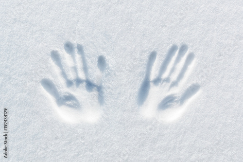print of two hands on the snow