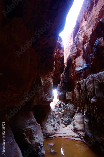 Khazali canyon in Wadi Rum desert  Jordan  Middle East