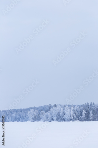 Minimalistic winter lake landscape cloudy day background © Juhku