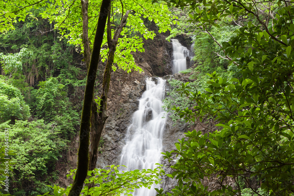 Obraz premium Montezuma waterfall in nature of Costa Rica