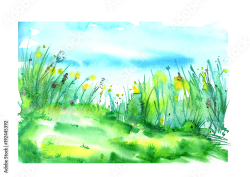Watercolor landscape with the image of wild grasses, yellow flowers, green plants, dandelions, fields. Against the background of the blue sky. Abstract paint spots, artwork. Vintage postcard, Logo