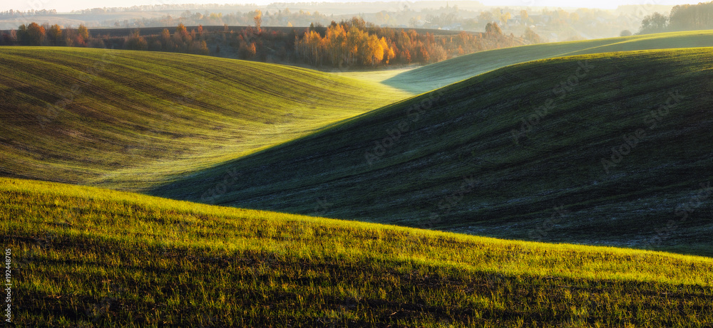 Fototapeta premium Hilly field. Autumn dawn in the field. Quiet morning in a picturesque field