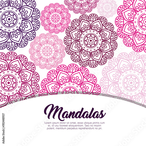color mandala pattern background vector illustration design