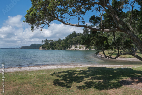 Cornwallis bay. Auckland New Zealand photo