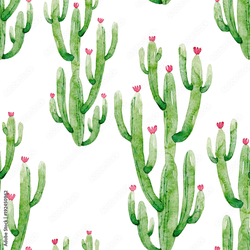 Watercolor cactus pattern Watercolor cactus pattern