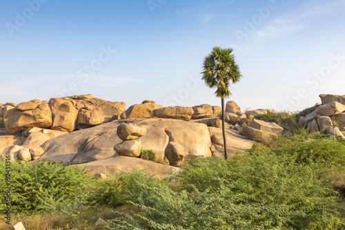 rocky terrain with palm, Hampi, Karnataka, India