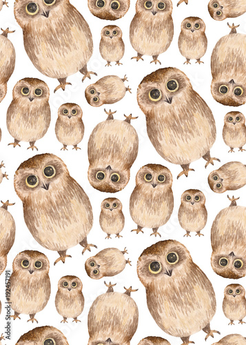 Watercolor owls pattern. Bi...