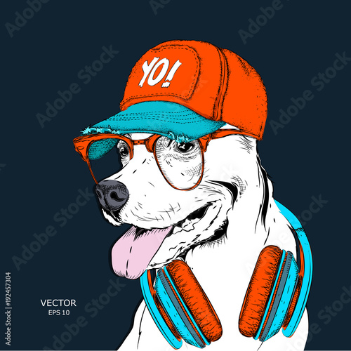 The image of the dog in the glasses, headphones and in hip-hop hat. Vector illustration.