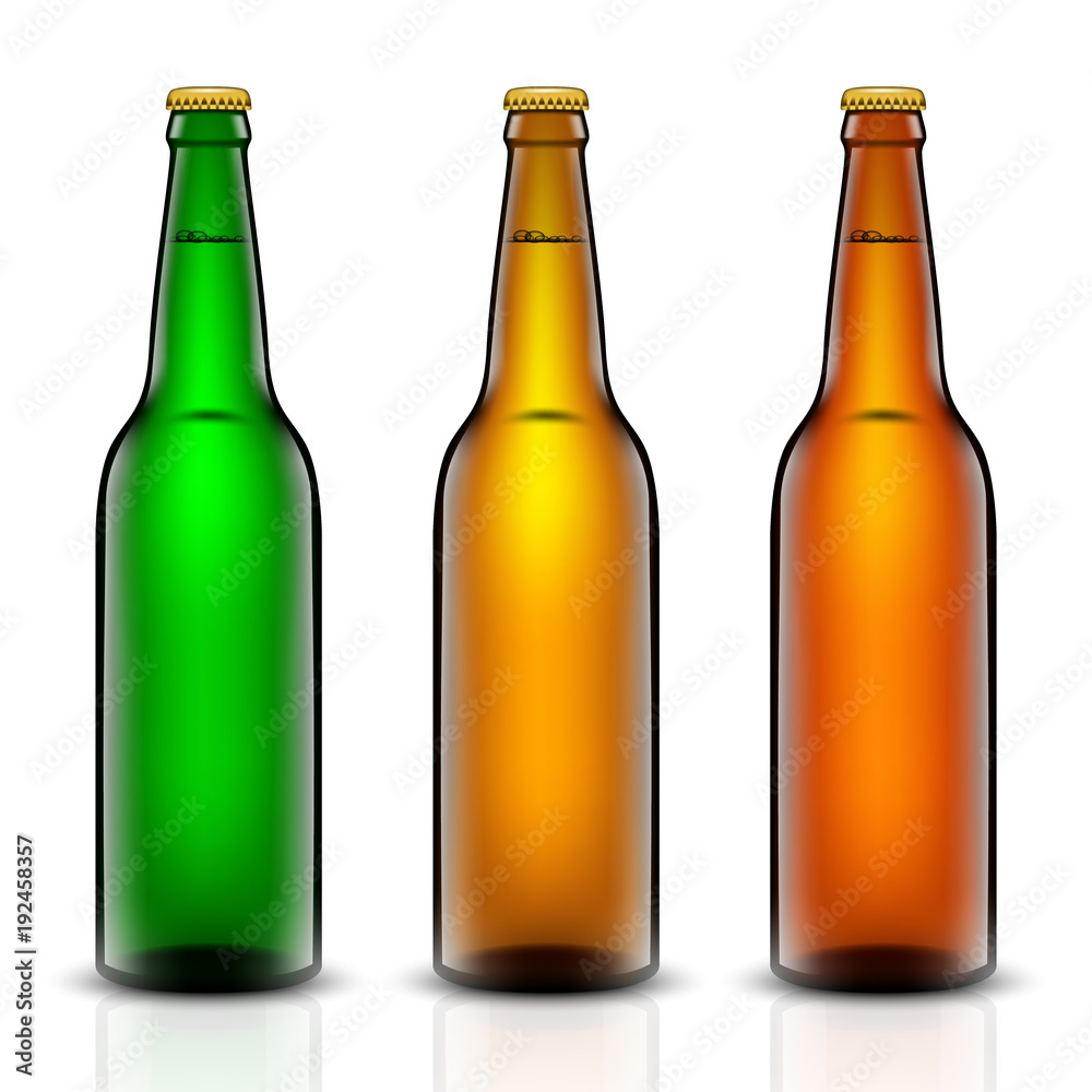 Beer bottle vector set. Beer bottle vector set.