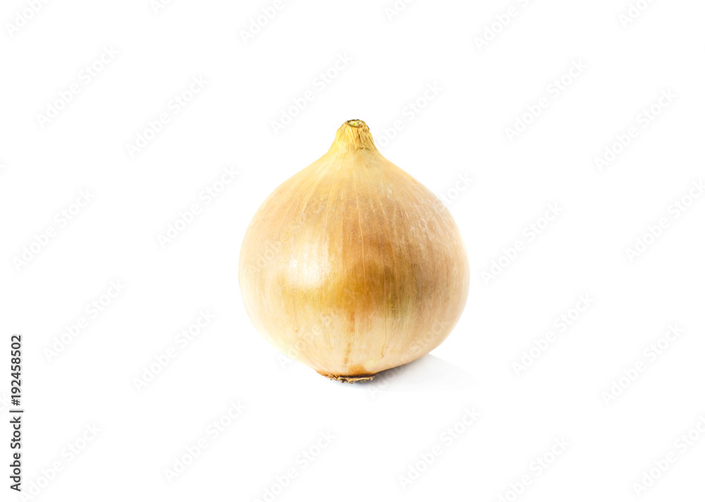 Fototapeta premium onion isolate on white background