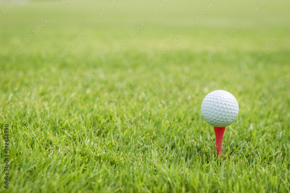 Golf ball on red tee start on green grass course lawn field park nature background with empty copy space Golf ball on red tee start on green grass course lawn field park nature background with empty copy space