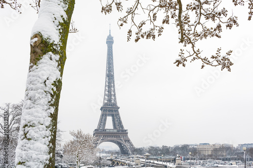 Fototapeta Naklejka Na Ścianę i Meble -  The Eiffel tower seen through snow-covered branches on a snowy day in Paris, France, with the top of the tower disappearing slightly in the mist.