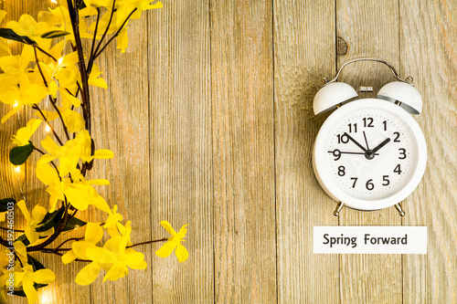 Daylight Savings Time Spring Forward concept top down view with white clock and yellow forsythia flowers on wooden board
