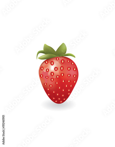 Strawberry. vector illustration