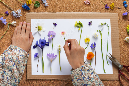 Child makes a herbarium of different spring flowers. Children education concept. Selective focus. photo