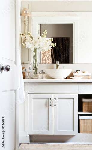 classic white bathroom and decorative mirror and vase of plant. classic cupboard and white door.