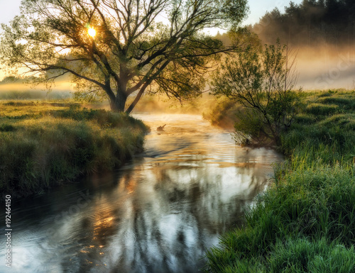 spring morning. dawn near a picturesque river