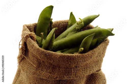 Pisum sativum Ոլոռ Herne Ärt Piselli ถั่วลันเตา Peas Groch 완두 zwyczajny Povrtni grašak Đậu Hà Lan Горох посевной Pois cultivé Almindelig ært Pisello Guisante Aerbs بازلاء  photo