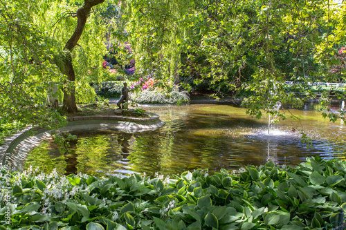 Little pond in Karlovy Vary, Czech Republic photo
