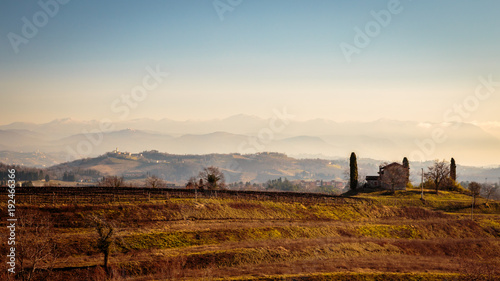 Sunset in the vineyards of Collio  Italy