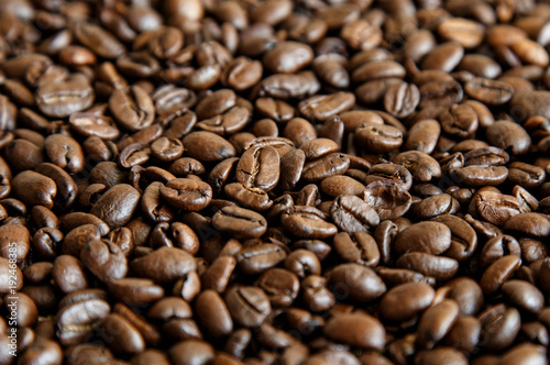 fragrant coffee beans