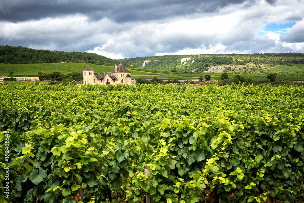 Burgundy, many chateau (castle) are surrounded by many acres of vineyards and are great wine producers. France.