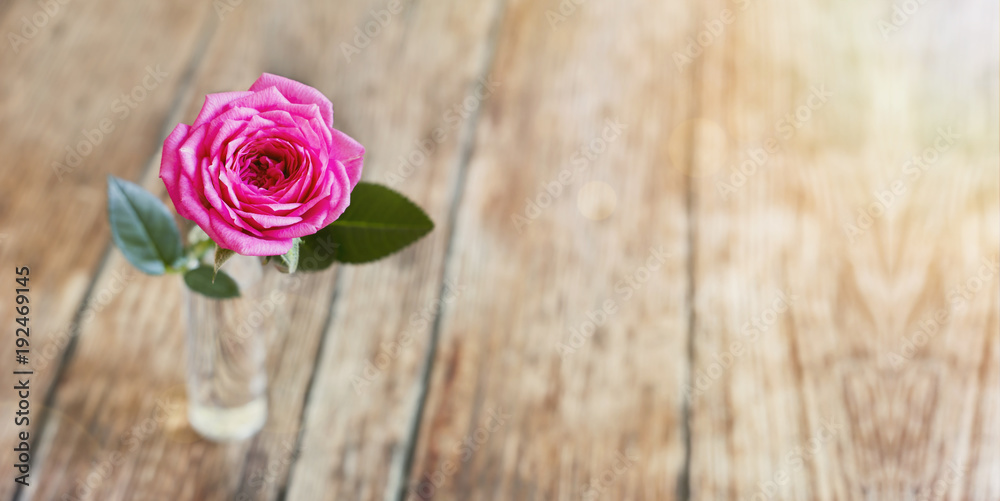 Web banner of pink rose flower on wooden background with blank, copy space -  life coaching concept