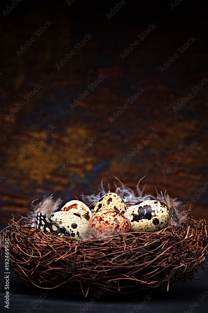 Quail eggs Quail eggs