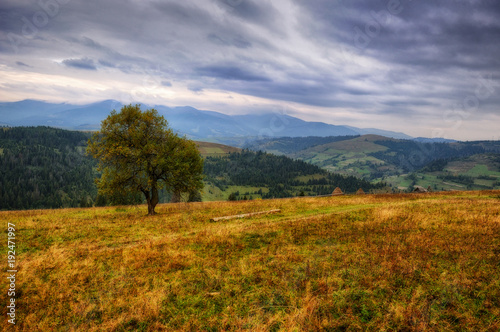 autumn morning. a picturesque sky in the autumn Carpathian mountains