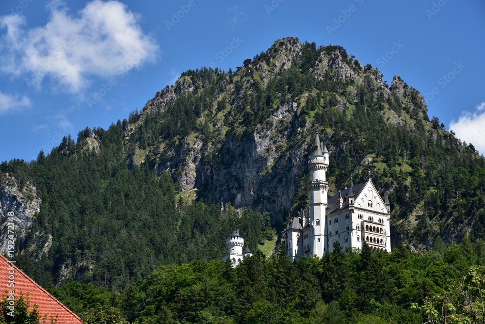 European famous castle