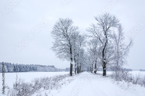 WINTER - Fields and road covered with snow