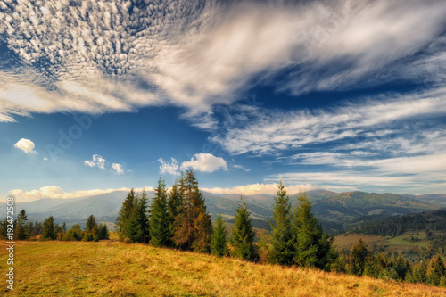 Fototapeta Naklejka Na Ścianę i Meble -  autumn morning. a picturesque sky in the autumn Carpathian mountains
