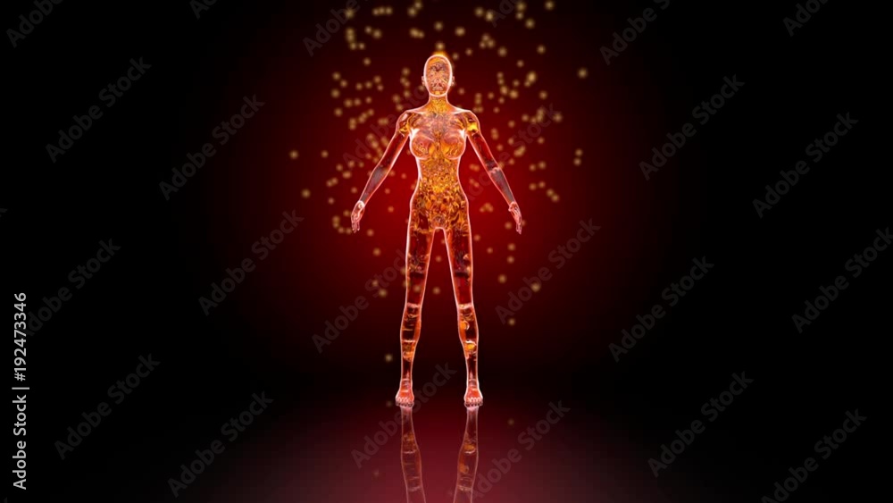 3D rendered animation of the female astral energy flowing through the body.
