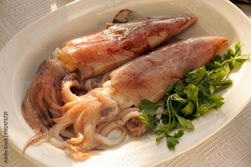 Fresh squids, restaurant Croatia.