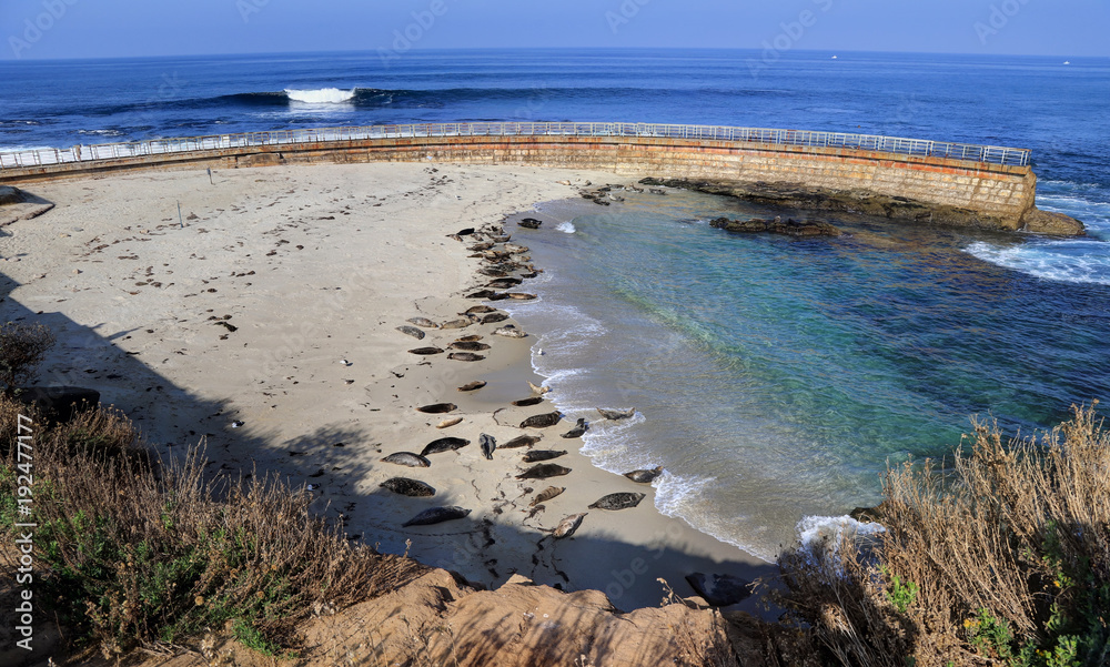 La Jolla coastline in California, just outside of San Diego. La Jolla coastline in California, just outside of San Diego.