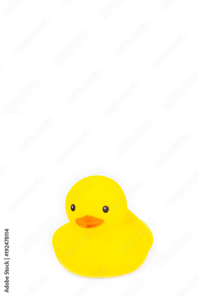 Yellow rubber duck cute on white background.