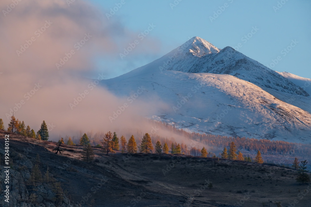 Russia. Thick morning fog in the Altai mountains