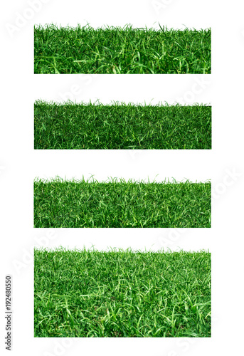 set grass on white background. Saved with clipping path.