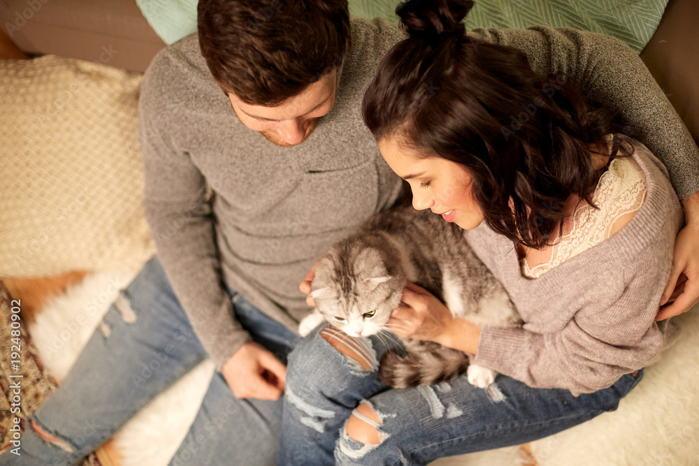 happy couple with cat at home happy couple with cat at home