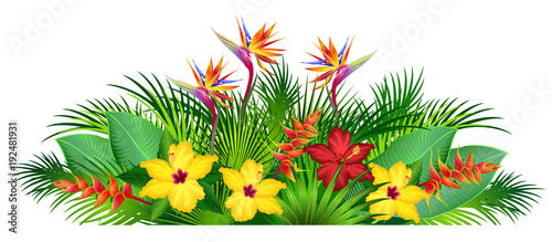 Tropical flowers with palm leaves (strelitzia, hibiscus, heliconia). Hand drawn vector illustration on white background.