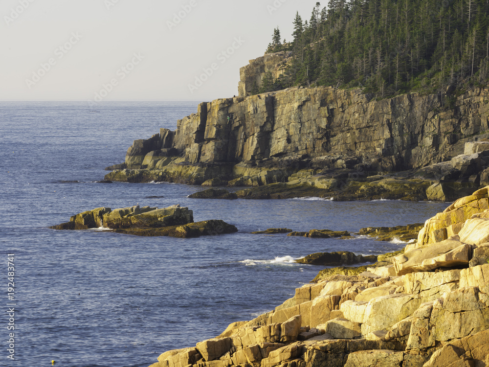 Fototapeta premium Coastal Vista - Otter Point, Acadia National Park