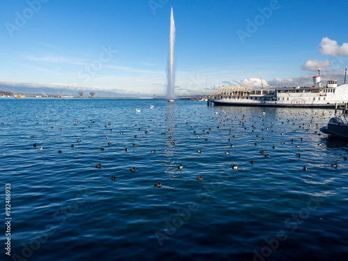 Fountain In Geneva. Geneva lake. The main attraction of Geneva. Beautiful sunny day. January, 2018 photo