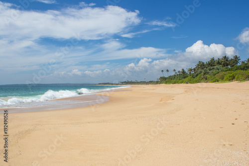 Beautiful beach. View of nice tropical beach with palms around. Holiday and vacation concept. Tropical beach.