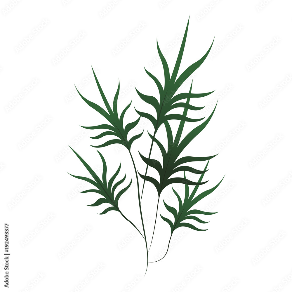 Plant leaves symbol icon vector illustration graphic design - obrazy, fototapety, plakaty 