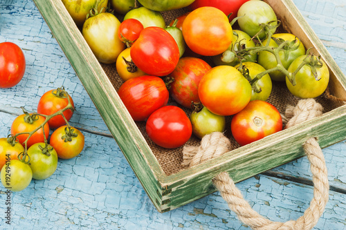 Set of ripe tomatoes in the wooden tray  wooden background
