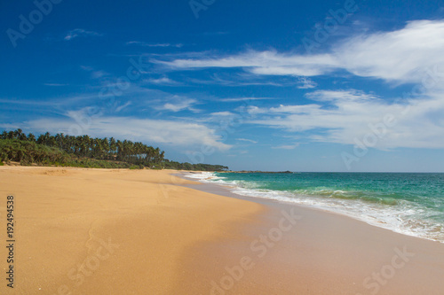Beautiful beach. View of nice tropical beach with palms around. Holiday and vacation concept. Tropical beach. © ermes86