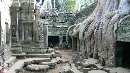 Canvas Print Huge tree roots occupied the temple in Angkor in Cambodia