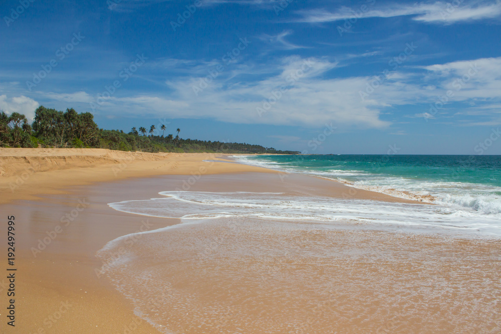 Beautiful beach. View of nice tropical beach with palms around. Holiday and vacation concept. Tropical beach. Beautiful beach. View of nice tropical beach with palms around. Holiday and vacation concept. Tropical beach.