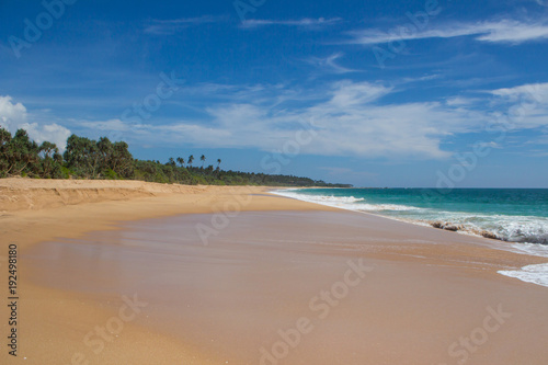 Beautiful beach. View of nice tropical beach with palms around. Holiday and vacation concept. Tropical beach.